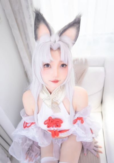 幻乐森林电视剧免费观看完整版