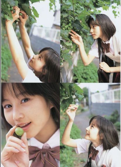 1—36集电视剧免费观看在线播放